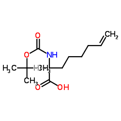 Boc-L-2-amino-7-octenoic acid Structure