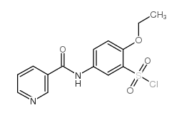 2-乙氧基-5-[(吡啶-3-羰基)-氨基]-苯磺酰氯结构式