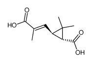 (-) trans-chrysanthemum dicarboxylic acid Structure