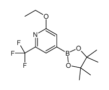 Pinacol 2-ethoxy-6-trifluoromethylpyridine-4-borate Structure
