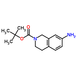 叔-丁基-7-氨基-3,4-二氢异喹啉-2(1H)-甲酸结构式