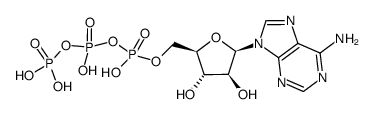 阿拉伯腺苷5'-三磷酸(ara-ATP)(水溶液)结构式