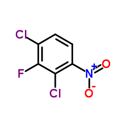 2,4-二氯-3-氟硝基苯结构式