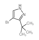 4-溴-3-叔丁基-1H-吡唑结构式