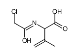 2-[(2-chloroacetyl)amino]-3-methylbut-3-enoic acid Structure