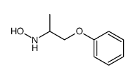 N-(1-phenoxypropan-2-yl)hydroxylamine Structure