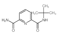 2,6-Pyridinedicarboxamide,N2-(1,1-dimethylethyl)-结构式