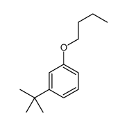 1-butoxy-3-tert-butylbenzene结构式