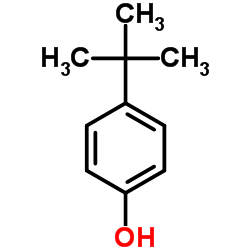4-tert-Butylphenol Structure