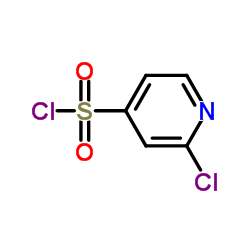 2-氯-4-吡啶磺酰氯图片