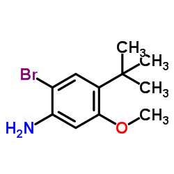 2-Bromo-5-methoxy-4-(2-methyl-2-propanyl)aniline Structure