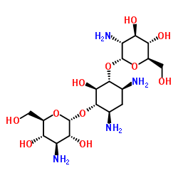 kanamycin C Structure
