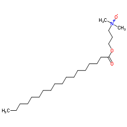 N-[3-(dimethylamino)propyl]stearamide N-oxide Structure