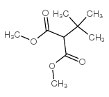 叔丁基丙二酸二甲酯结构式