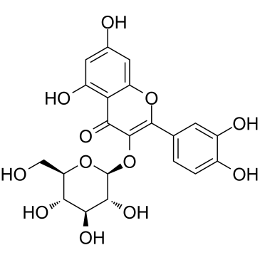 Isoquercitrin picture