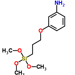 3-[3-(Trimethoxysilyl)propoxy]aniline structure