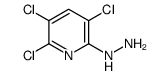 (3,5,6-TRICHLORO-PYRIDIN-2-YL)-HYDRAZINE Structure