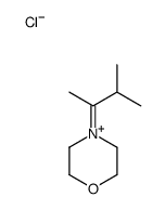 4-(3-methylbutan-2-ylidene)morpholin-4-ium,chloride结构式