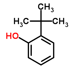 2-tert-Butylphenol picture