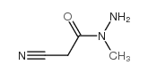 N1-METHYL-2-CYANOETHANOHYDRAZIDE Structure