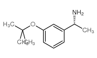 (AR)-3-(1,1-二甲基乙氧基)-A-甲基苯甲胺结构式
