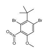 1,3-dibromo-2-tert-butyl-5-methoxy-4-nitrobenzene Structure