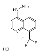 4-Hydrazino 8-trifluoromethyl-quinoline hydrochloride Structure