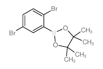 2,5-二溴苯硼酸频哪醇酯结构式