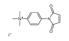 [4-(2,5-dioxopyrrol-1-yl)phenyl]-trimethylazanium,iodide Structure