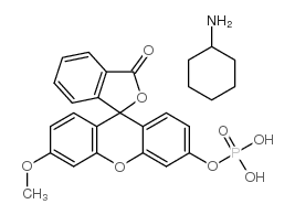 3-O-甲基荧光黄磷酸盐单环己基铵盐结构式