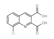 8-氯喹啉-2,3-二羧酸结构式