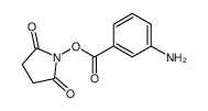 N-(3-aminobenzoyloxy)succinimide结构式