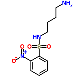 N-(4-氨丁基)-2-硝基苯磺酰胺结构式