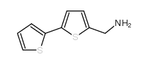 2,2'-联噻吩-5-甲胺图片