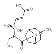 but-2-enedioic acid; N,N-diethyl-3-methyl-3,8-diazabicyclo[3.2.1]octane-8-carboxamide Structure