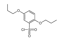 2,5-dipropoxybenzenesulfonyl chloride Structure