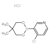 4-氯-3-(5,5-二甲基-1,3,2-二噁硼烷-2-基)吡啶盐酸盐图片