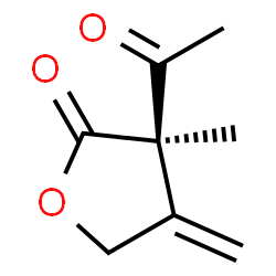 2(3H)-Furanone, 3-acetyldihydro-3-methyl-4-methylene-, (3R)- (9CI) Structure