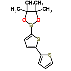 5-(4,4,5,5-Tetramethyl-1,3,2-dioxaborolan-2-yl)-2,2'-bithiophene picture