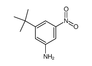3-tert-butyl-5-nitro-aniline Structure