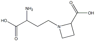 α-Amino-2-carboxy-1-azetidinebutanoic acid结构式