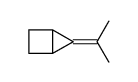 5-propan-2-ylidenebicyclo[2.1.0]pentane结构式