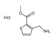 3-氨基甲基-噻吩-2-羧酸甲酯结构式