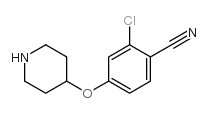 2-氯-4-(-4-哌啶氧基)苯甲腈结构式
