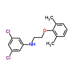 3,5-Dichloro-N-[2-(2,6-dimethylphenoxy)ethyl]aniline结构式