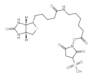 磺基琥珀亚氨基-6-(生物素胺)乙酸结构式