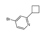 4-溴-2-环丁基吡啶结构式