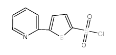 5-(2-吡啶)噻酚-2-磺酰氯结构式