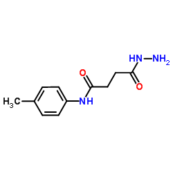 4-Hydrazino-N-(4-methylphenyl)-4-oxobutanamide Structure
