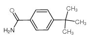 4-(叔丁基)苯甲酰胺图片